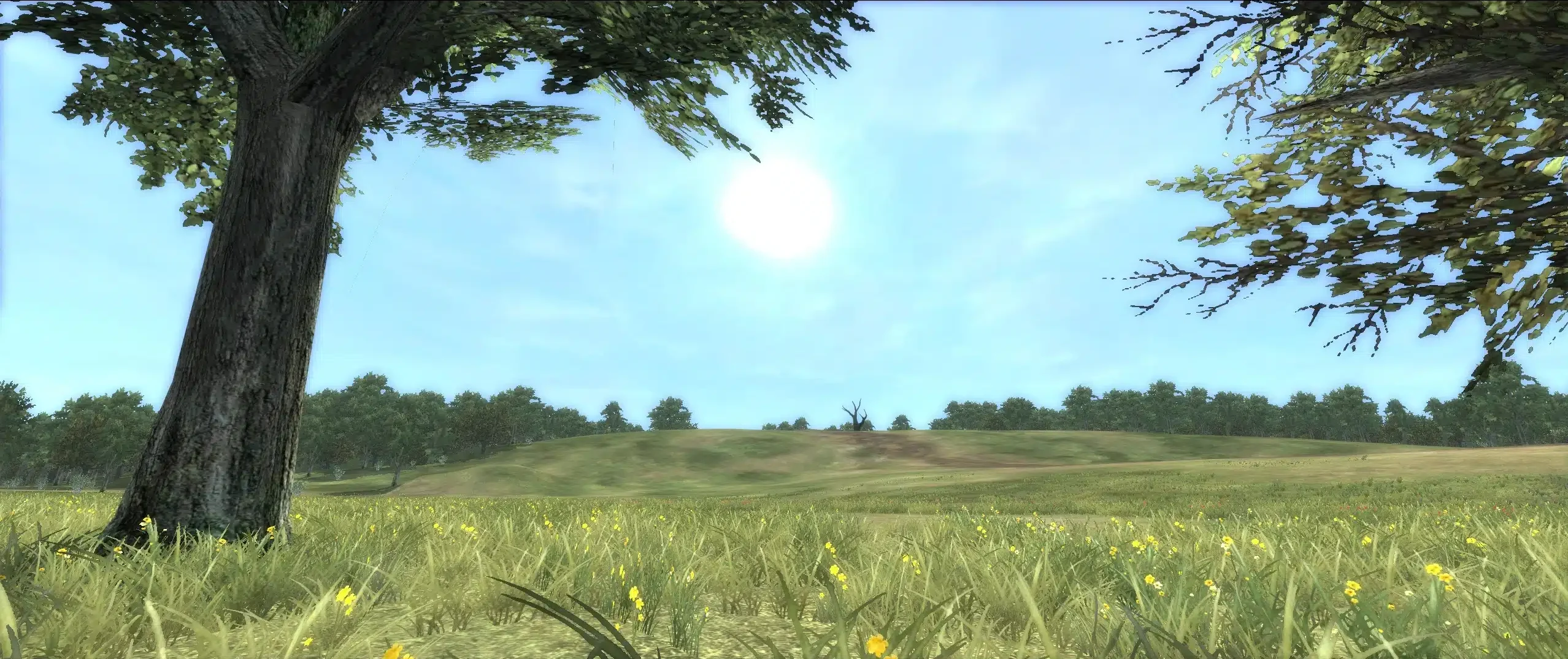 Bataille d'Hastings Medieval 2